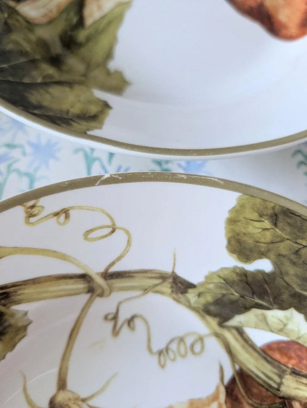Williams Sonoma Botanical Pumpkin Large Rim Soup Bowl Set of 4 Harvest Dining